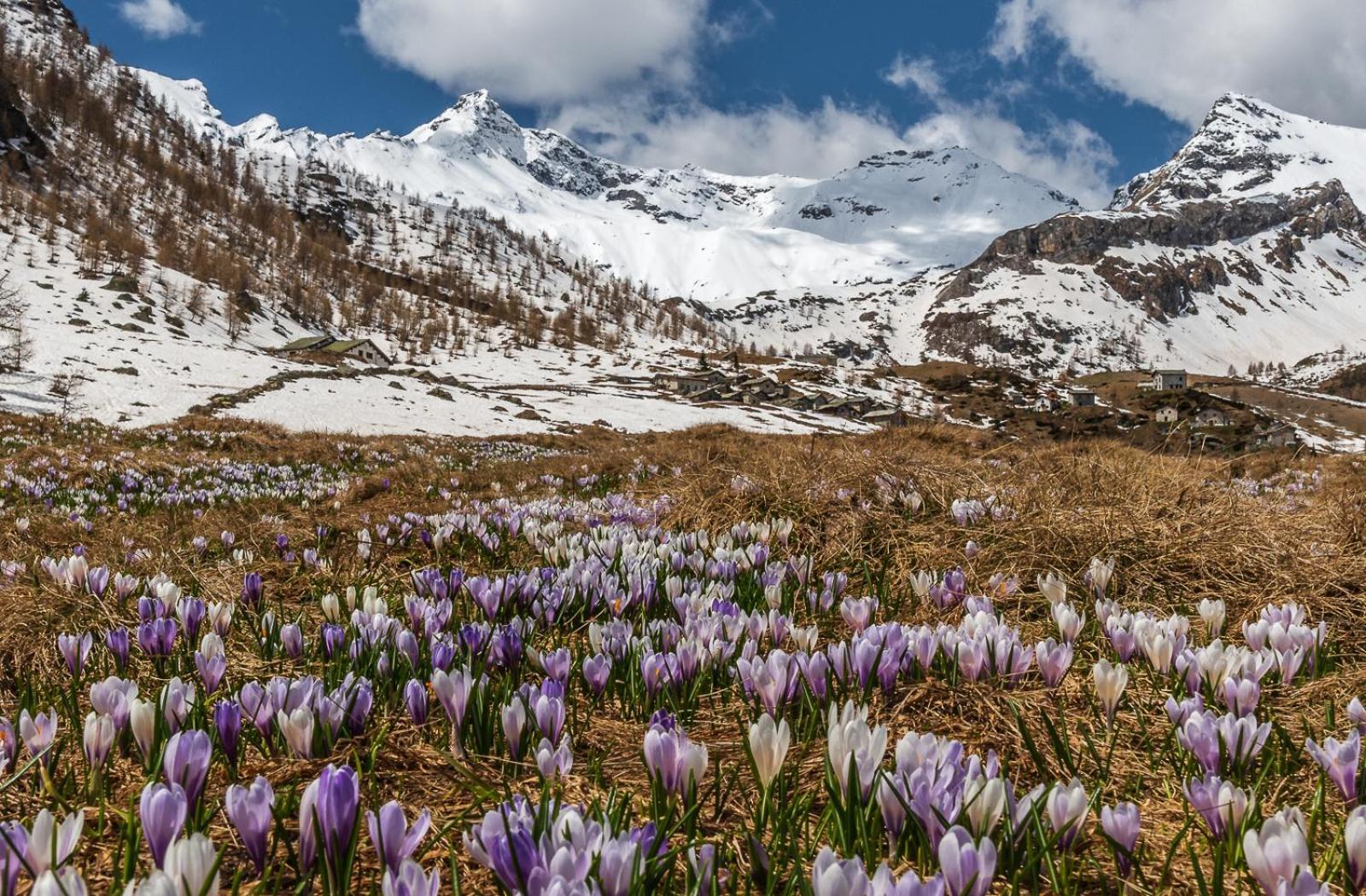 San Giuan, Ad Un Passo Dal Centro Leilighet Chiavenna Eksteriør bilde